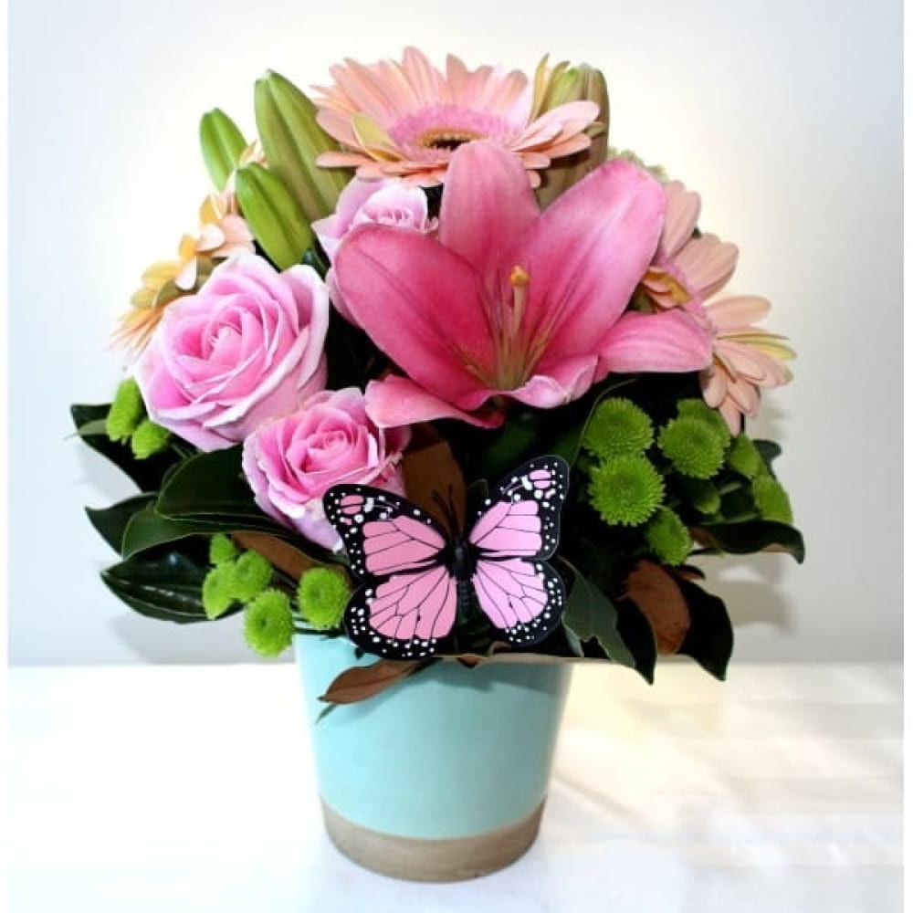 Pink roses in ceramic pot
